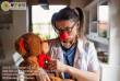 Gyermekekért, bohócdoktorok adó 1 százalék