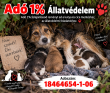 Állatvédelem - szja 1% - 2027